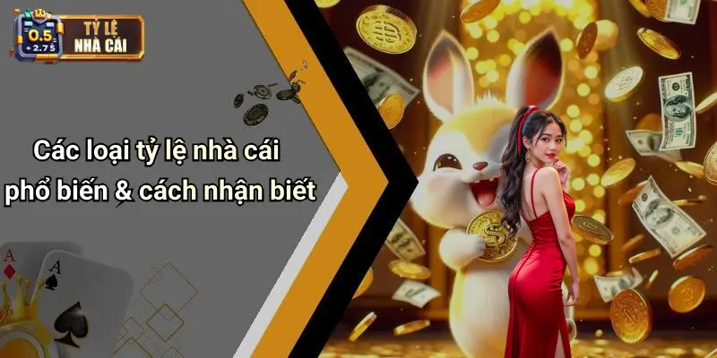 Các loại tỷ lệ nhà cái phổ biến & cách nhận biết