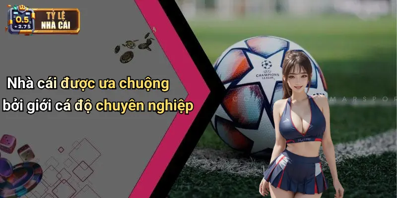 Nhà cái được ưa chuộng bởi giới cá độ chuyên nghiệp