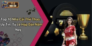 Top 10 Nhà Cái Thể Thao: Uy Tín, Tỷ Lệ Hấp Dẫn Năm Nay