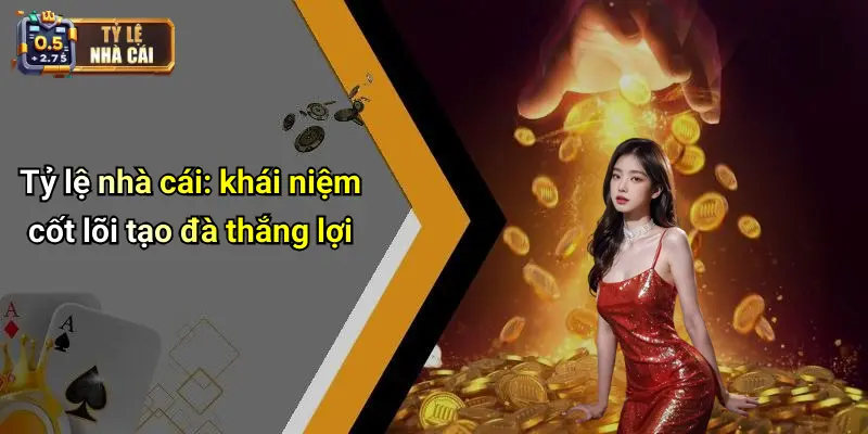 Tỷ lệ nhà cái: khái niệm cốt lõi tạo đà thắng lợi