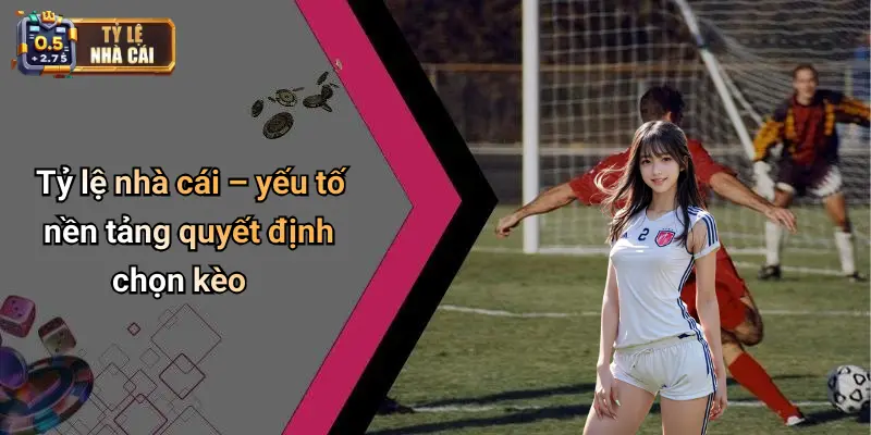 Tỷ lệ nhà cái – yếu tố nền tảng quyết định chọn kèo