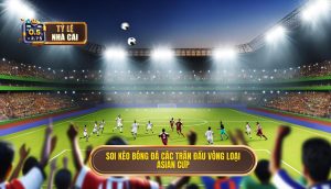Soi kèo bóng đá các trận đấu vòng loại Asian Cup