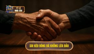 thumb - soi kèo bóng đá không lừa đảo