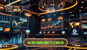 Soi kèo chuẩn cùng TỶ LỆ NHÀ CÁI